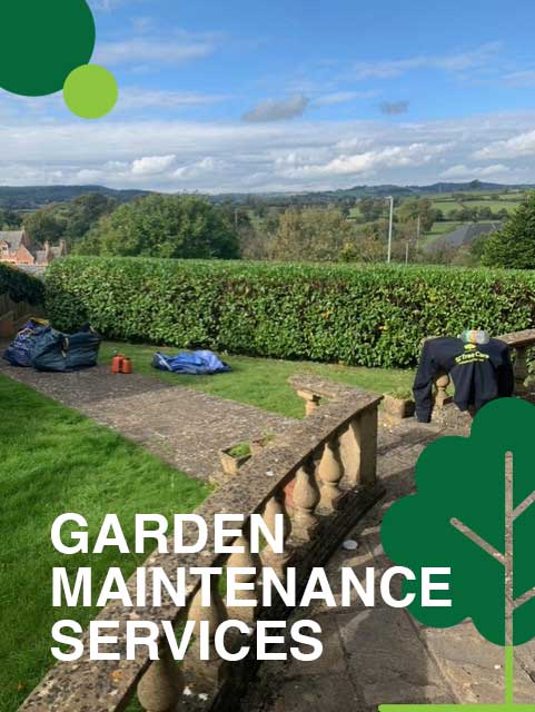 Garden Maintenance Services