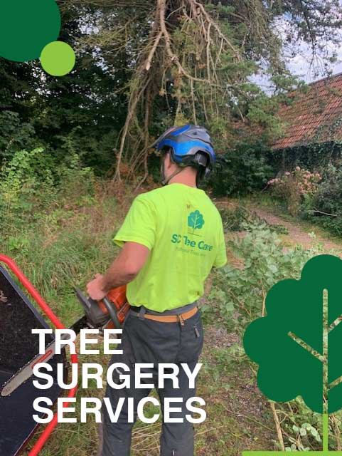 Tree Surgery Services