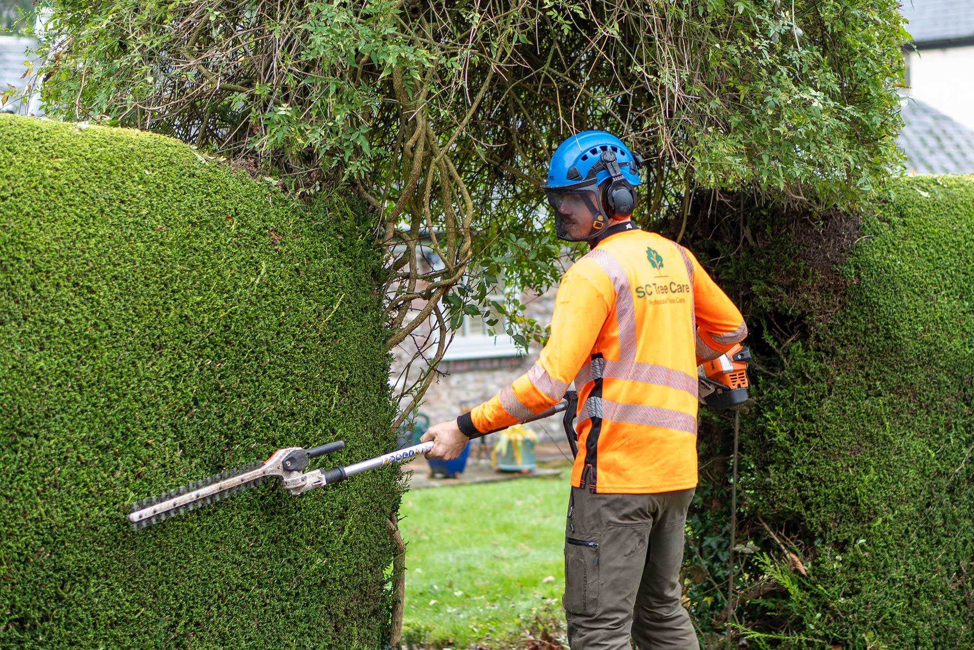 SC Tree Care Garden Hedge Trimming East Devon