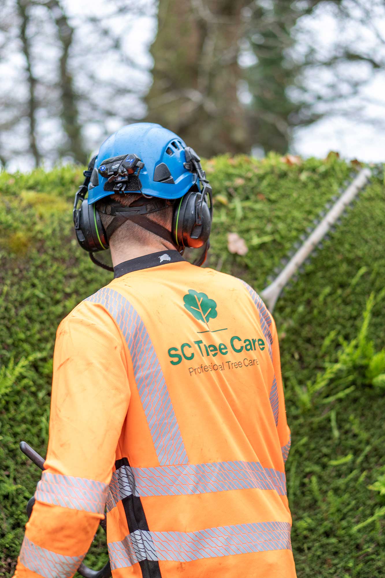 SC Tree Care Garden Maintenance Service Axminster