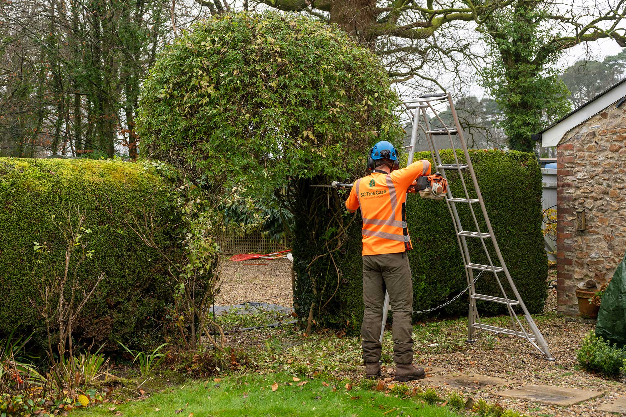 Garden Maintenance Services Ottery St Mary East Devon