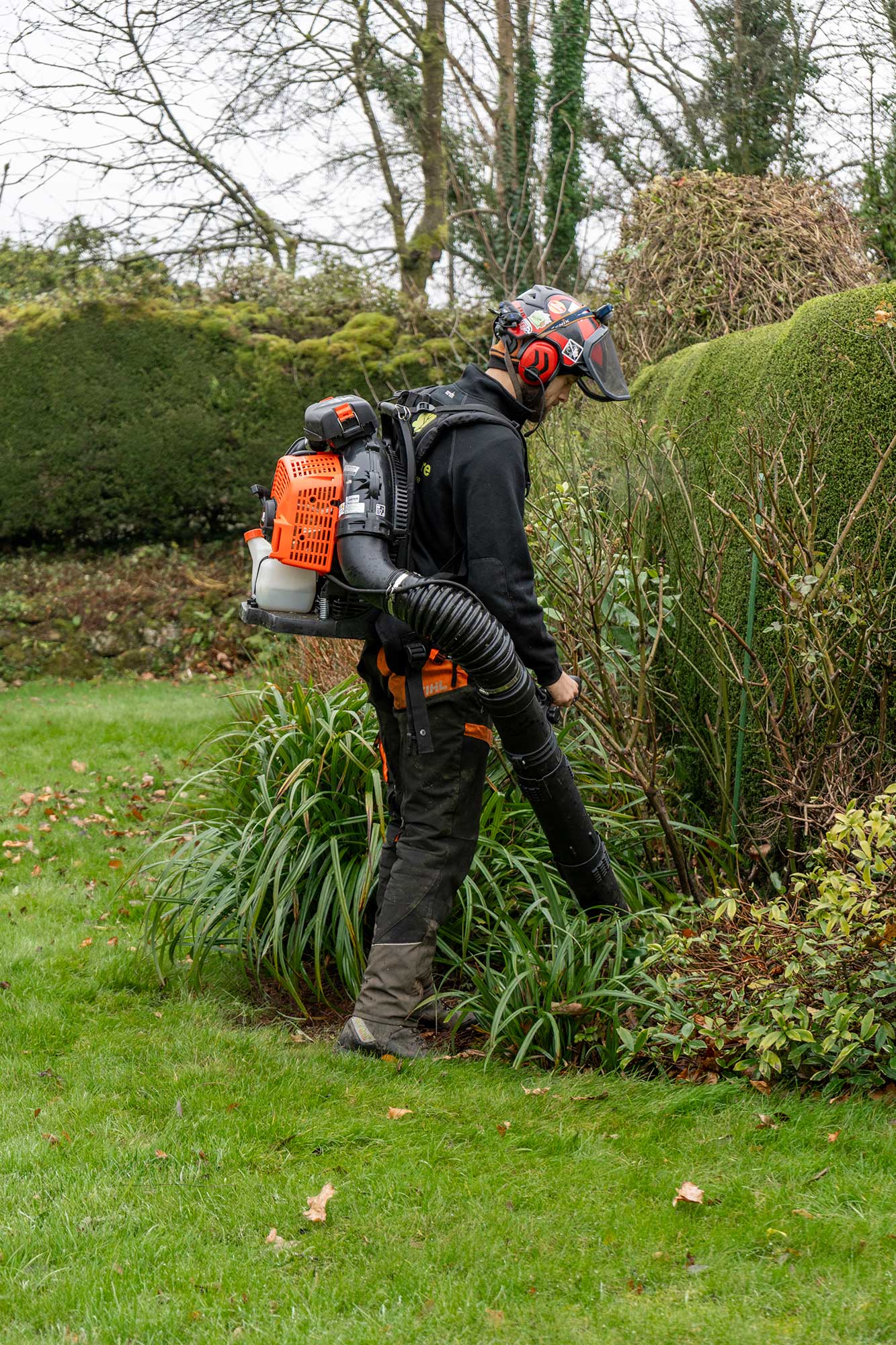 Garden Maintenance Services Honiton East Devon