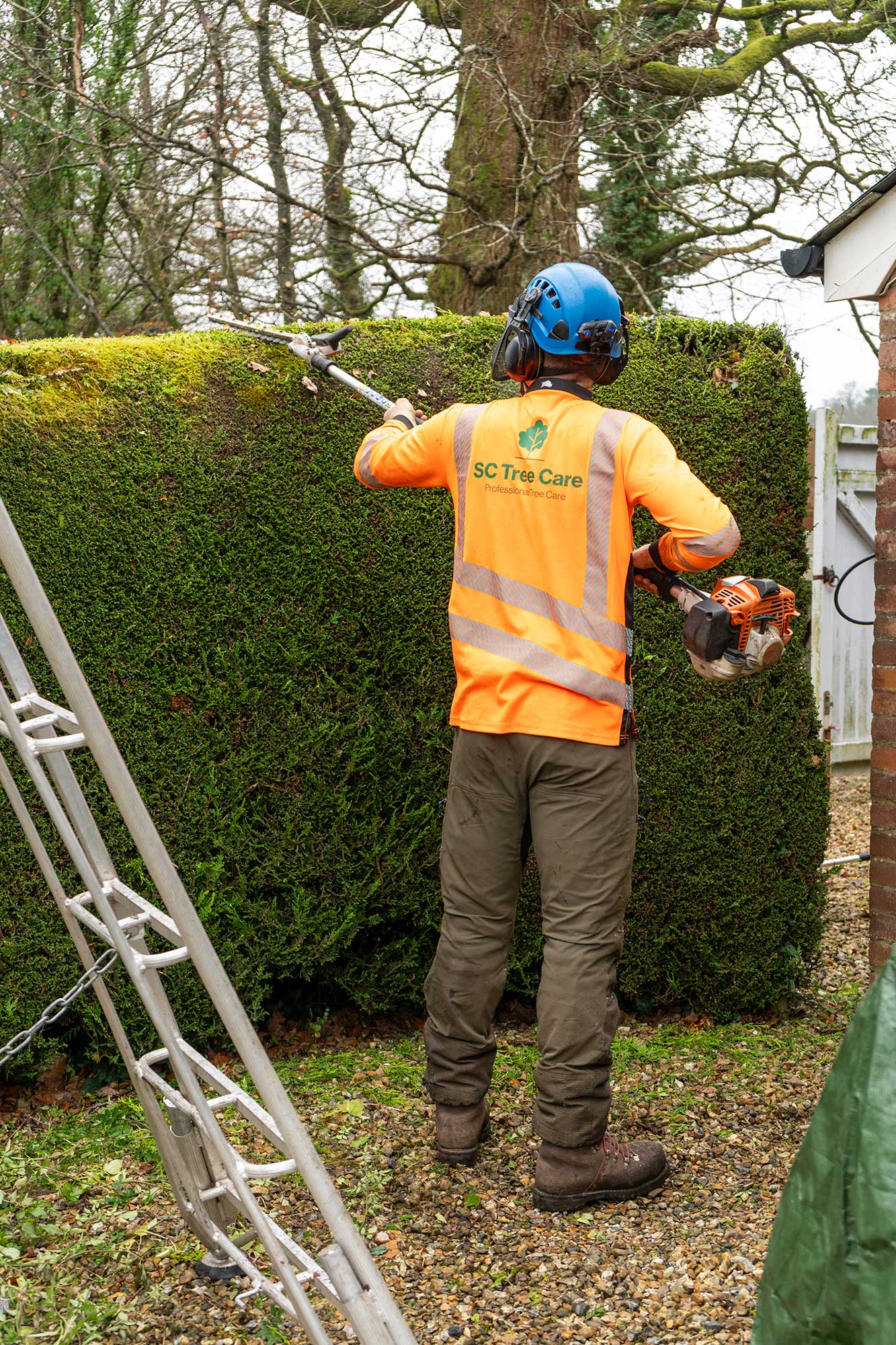 Garden Maintenance Services Honiton East Devon