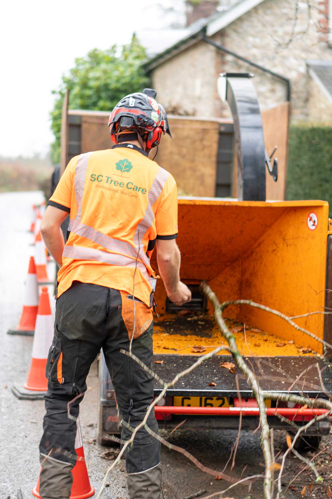 Tree Felling Honiton East Devon