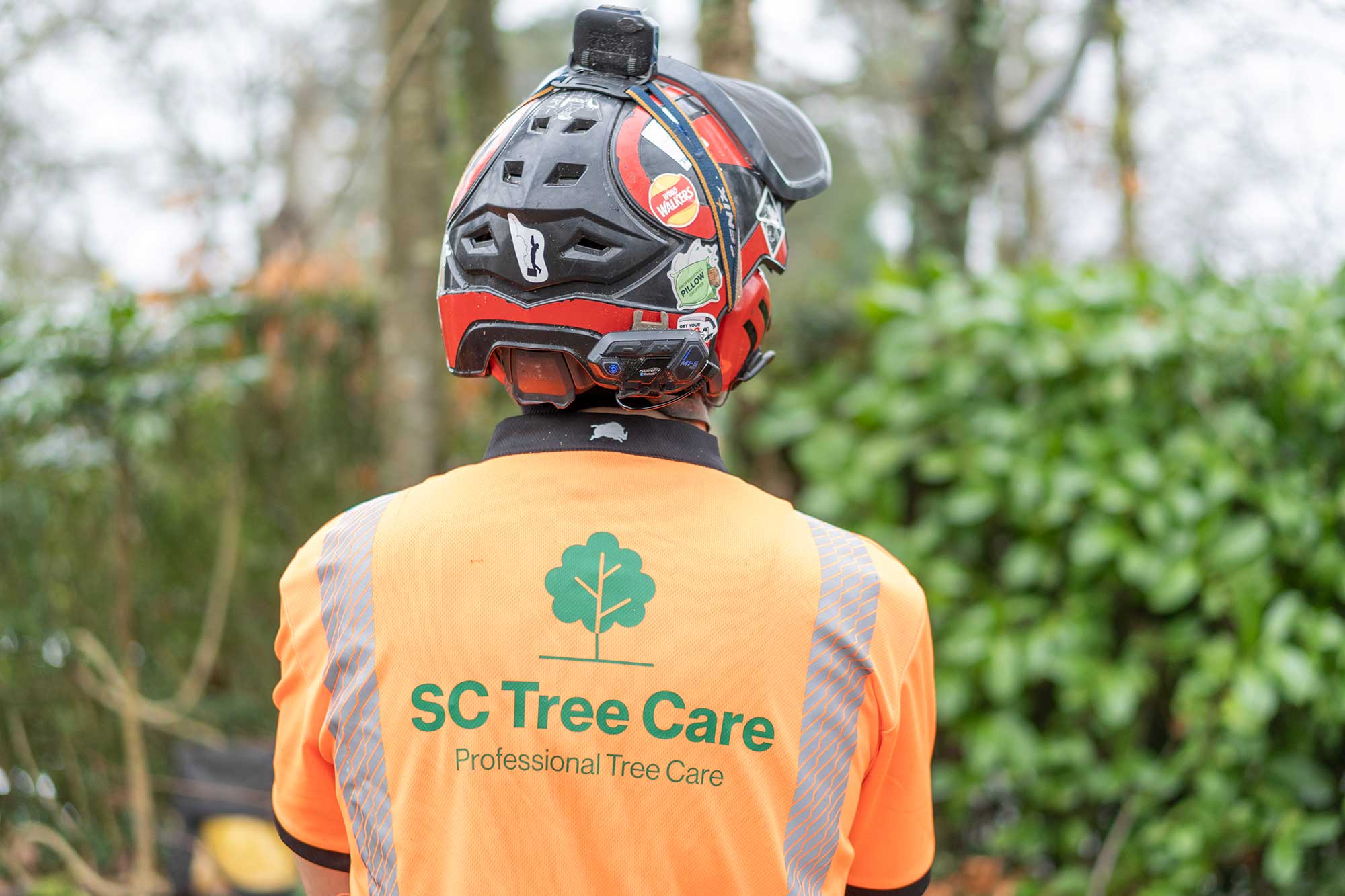 Professional Tree Surgeon Honiton East Devon